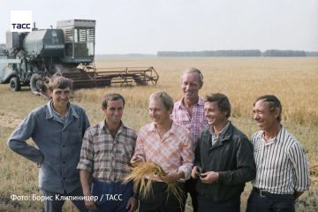 #архив_ТАСС_Урал+. Коллектив интенсивного труда совхоза "Батуринский"