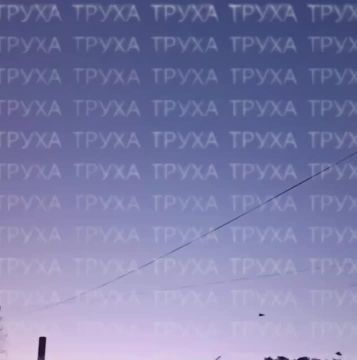 ����� ���� ������� ��� �������� ��������