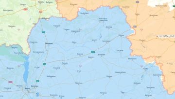 Зеленский и Сырский готовят очередную провокацию под Черниговом?