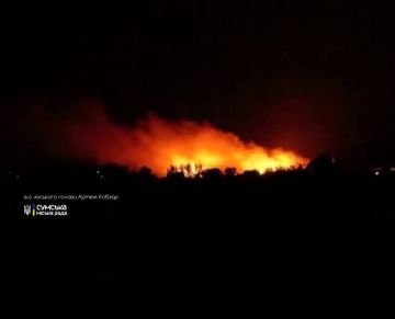17 августа 2026 года.. • 00:25 Херсон - взрывы. Герани