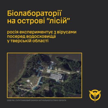 Владислав Шурыгин: Киев может готовить информационное прикрытие для возможной провокации с биологическим оружием