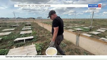 Выпускник программы «СВОё дело» создал улиточную ферму в Крыму